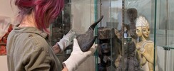 Visite guidées de l'exposition temporaire et de nos réserves
